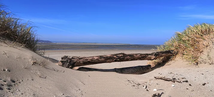 Sandy path leading to the Taw and Torridge estuary at Crow Point