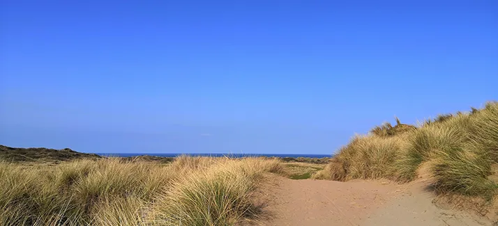 Path through Braunton Burrows dunes towards the beach