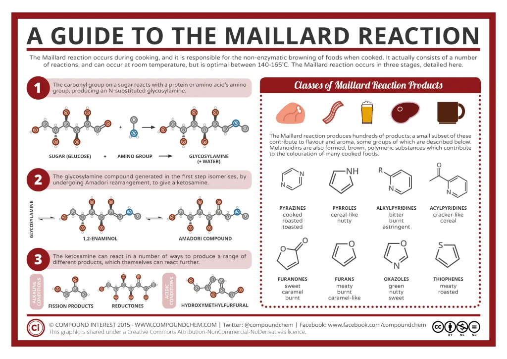 Infographic explaining the Maillard reaction and browning during cooking