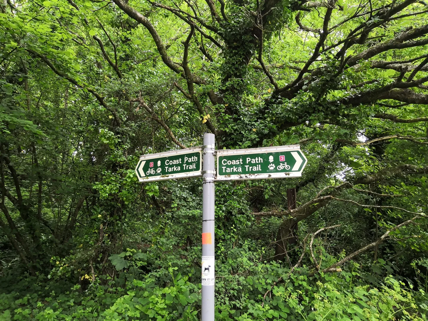 Tarka Trail and Coast Path signpost beneath trees