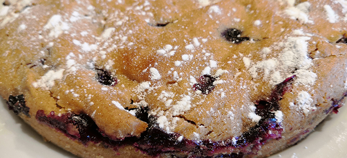 Read more about the article Fresh Blueberry Cake