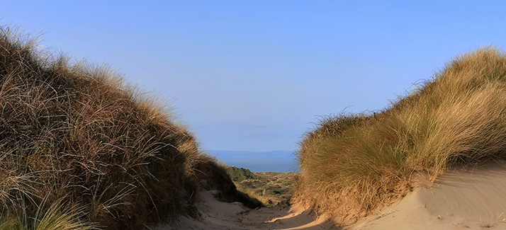 Read more about the article Braunton Burrows: Sand Dunes and Saunton Beach