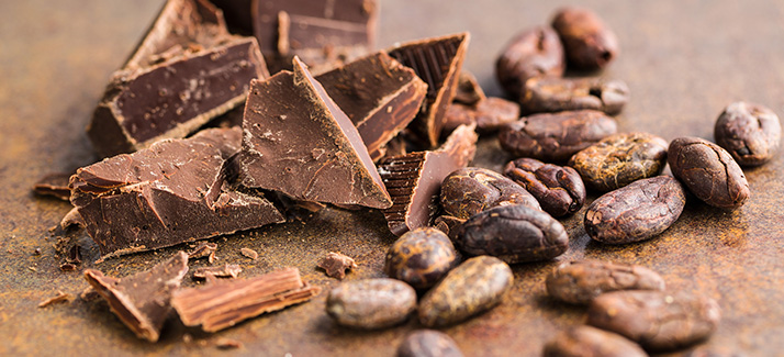 Read more about the article Theobromine: Flavanol in Chocolate