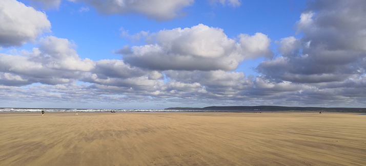 Read more about the article Westward Ho! Beach and Northam Burrows Country Park